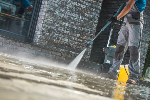 Best Pre-Holiday Cleaning  in South Houston, TX