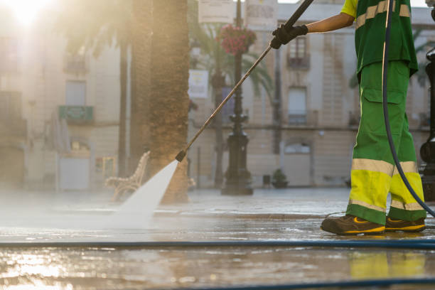 Animal Enclosure Cleaning in South Houston, TX